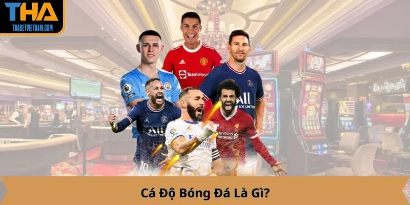 Cá Độ Bóng Đá Là Gì?