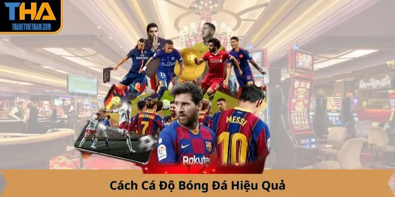 Cách Cá Độ Bóng Đá Hiệu Quả