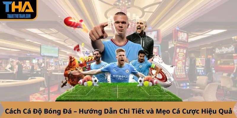 Cách Cá Độ Bóng Đá