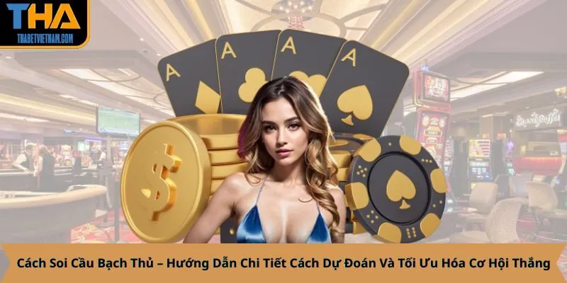 Cách Soi Cầu Bạch Thủ