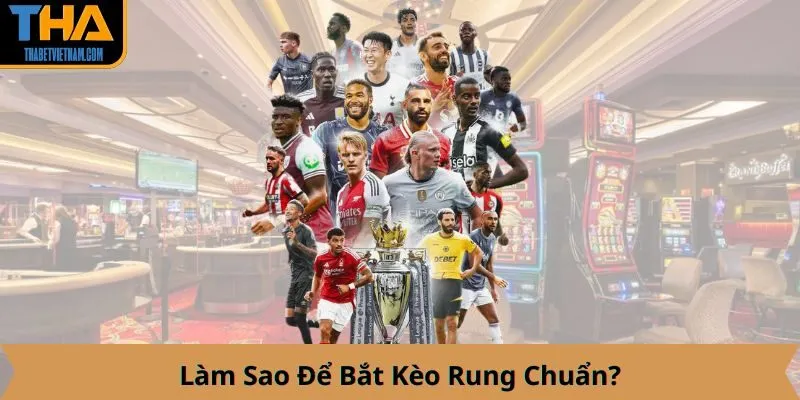 Làm Sao Để Bắt Kèo Rung Chuẩn?