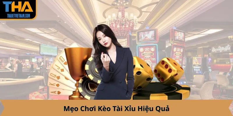 Mẹo Chơi Kèo Tài Xỉu Hiệu Quả